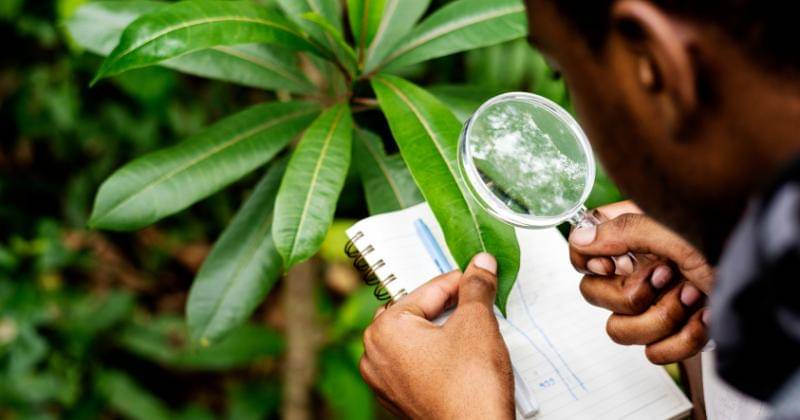 Freepik/rawpixel.com